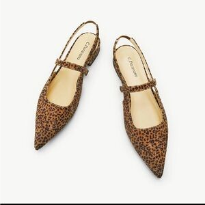C. Paravano Leopard Print Women's flats